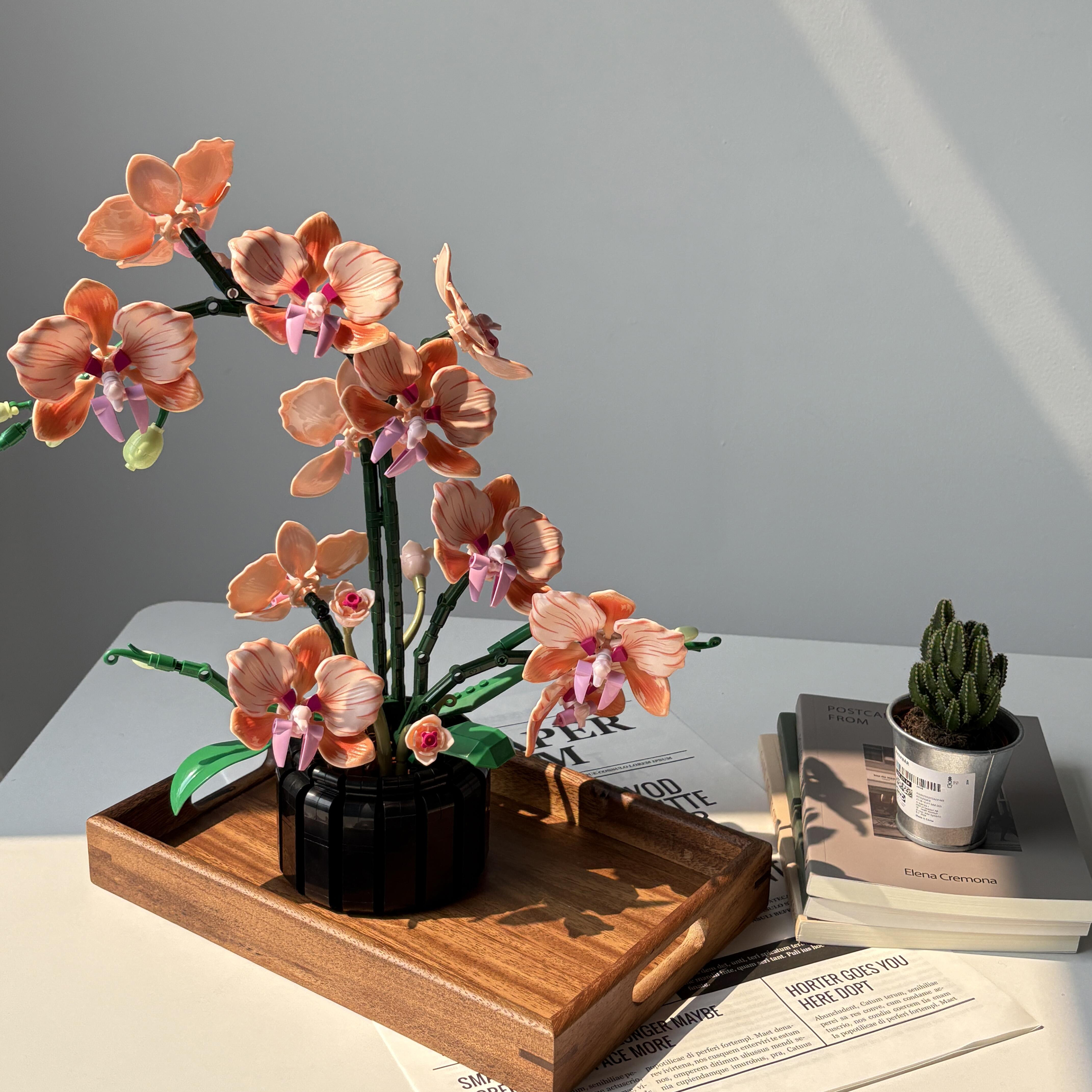 Orange Phalaenopsis Orchid Bui - đánh giá và giá Flower Girl Basket